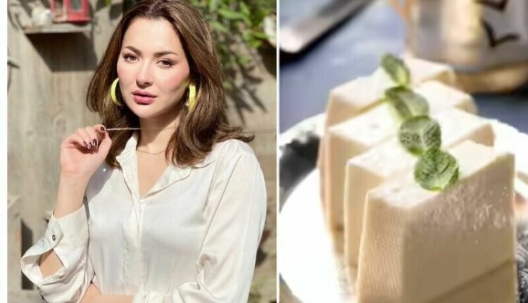 بھارتی نیوز چینل نے ہانیہ عامر کا نام بدل کر ’ہانیہ پنیر‘ رکھ دیا